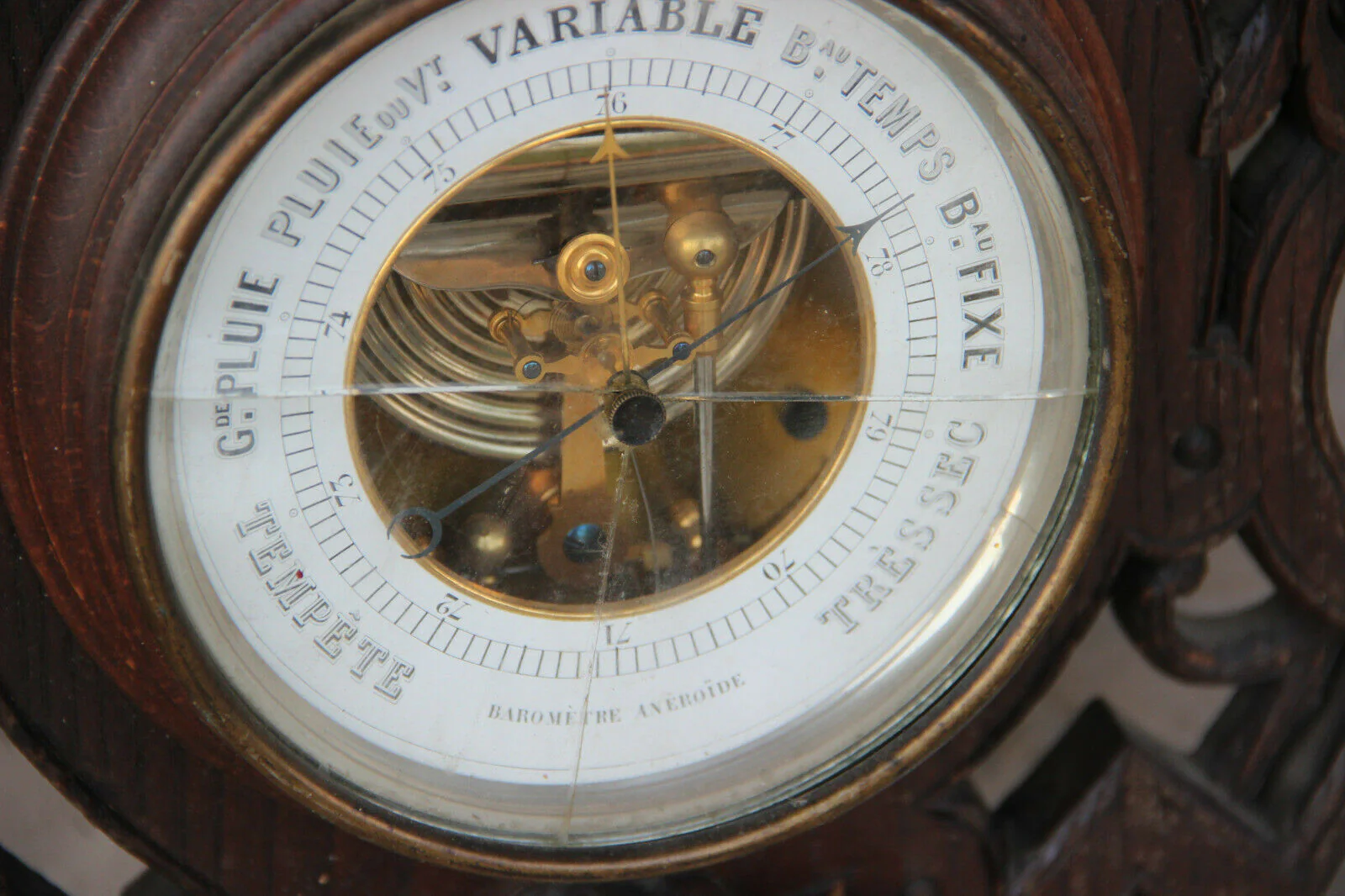 Thumbnail 8