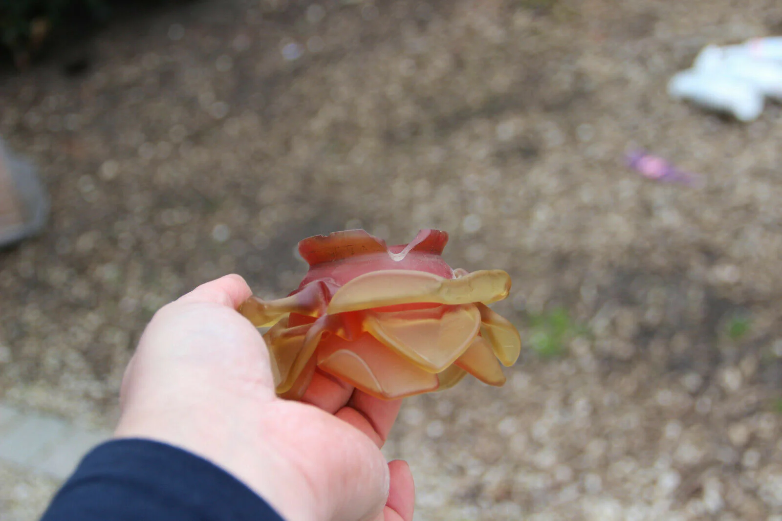 Thumbnail 11
