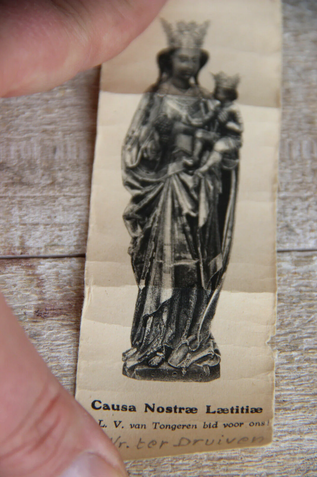 Thumbnail 9
